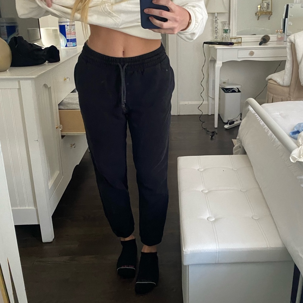 Aritzia Joggers
